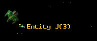 Entity J