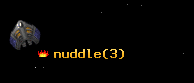 nuddle