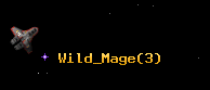 Wild_Mage