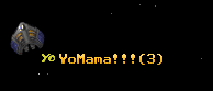 YoMama!!!