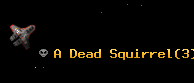 A Dead Squirrel