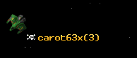 carot63x