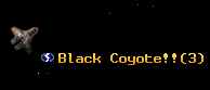 Black Coyote!!