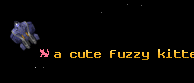 a cute fuzzy kitten