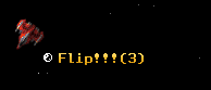 Flip!!!
