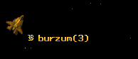 burzum