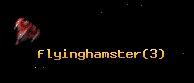 flyinghamster