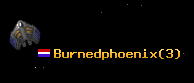 Burnedphoenix