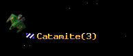 Catamite