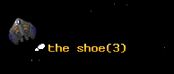 the shoe