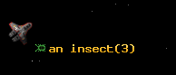 an insect