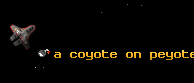 a coyote on peyote