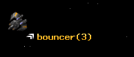bouncer