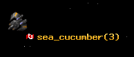sea_cucumber