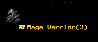 Mage Warrior