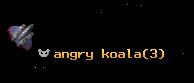 angry koala