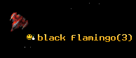 black flamingo