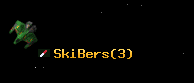 SkiBers
