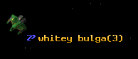whitey bulga