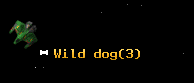 Wild dog