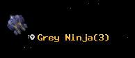 Grey Ninja