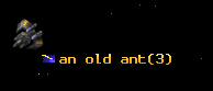 an old ant