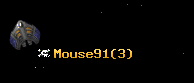 Mouse91