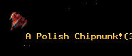 A Polish Chipmunk!