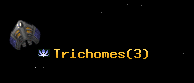 Trichomes
