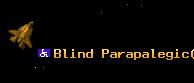 Blind Parapalegic