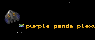 purple panda plexus