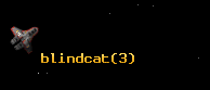 blindcat