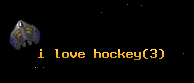 i love hockey