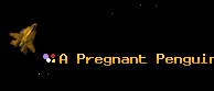 A Pregnant Penguin