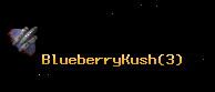 BlueberryKush