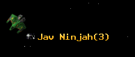 Jav Ninjah