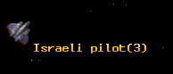 Israeli pilot