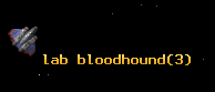 lab bloodhound