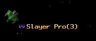Slayer Pro