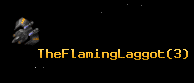 TheFlamingLaggot