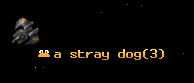 a stray dog