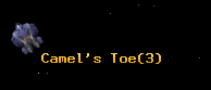 Camel's Toe