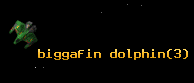 biggafin dolphin