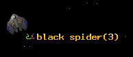 black spider