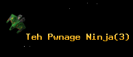 Teh Pwnage Ninja