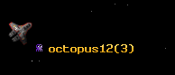 octopus12