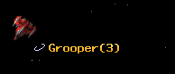 Grooper