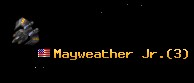 Mayweather Jr.