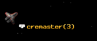 cremaster