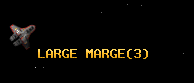 LARGE MARGE